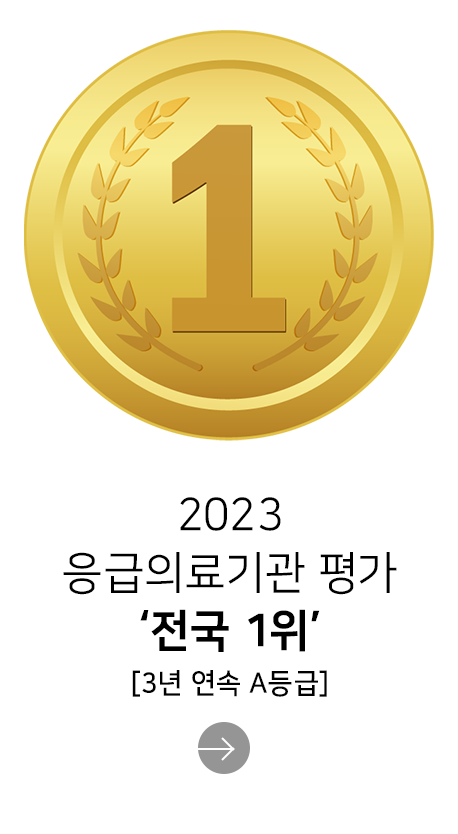 2023 응급의료기관 평가 '전국 1위'