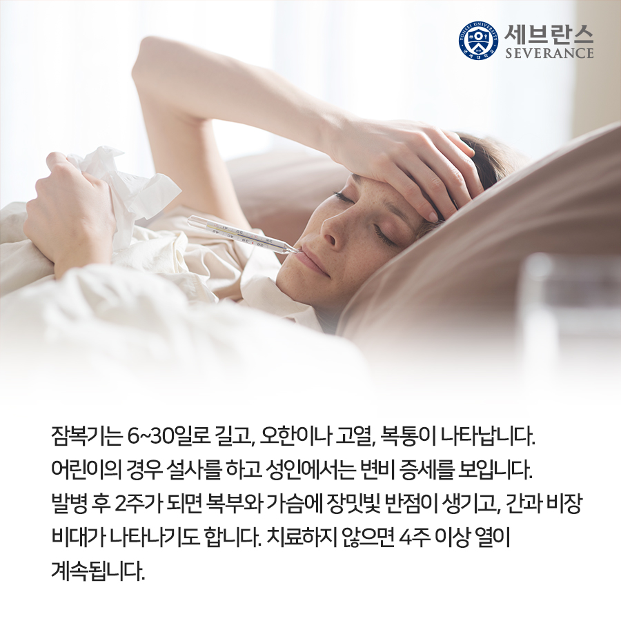 잠복기는 6~30일로 길고, 오한이나 고열, 복통이 나타납니다.  어린이의 경우 설사를 하고 성인에서는 변비 증세를 보입니다.  발병 후 2주가 되면 복부와 가슴에 장밋빛 반점이 생기고, 간과 비장  비대가 나타나기도 합니다. 치료하지 않으면 4주 이상 열이  계속됩니다.